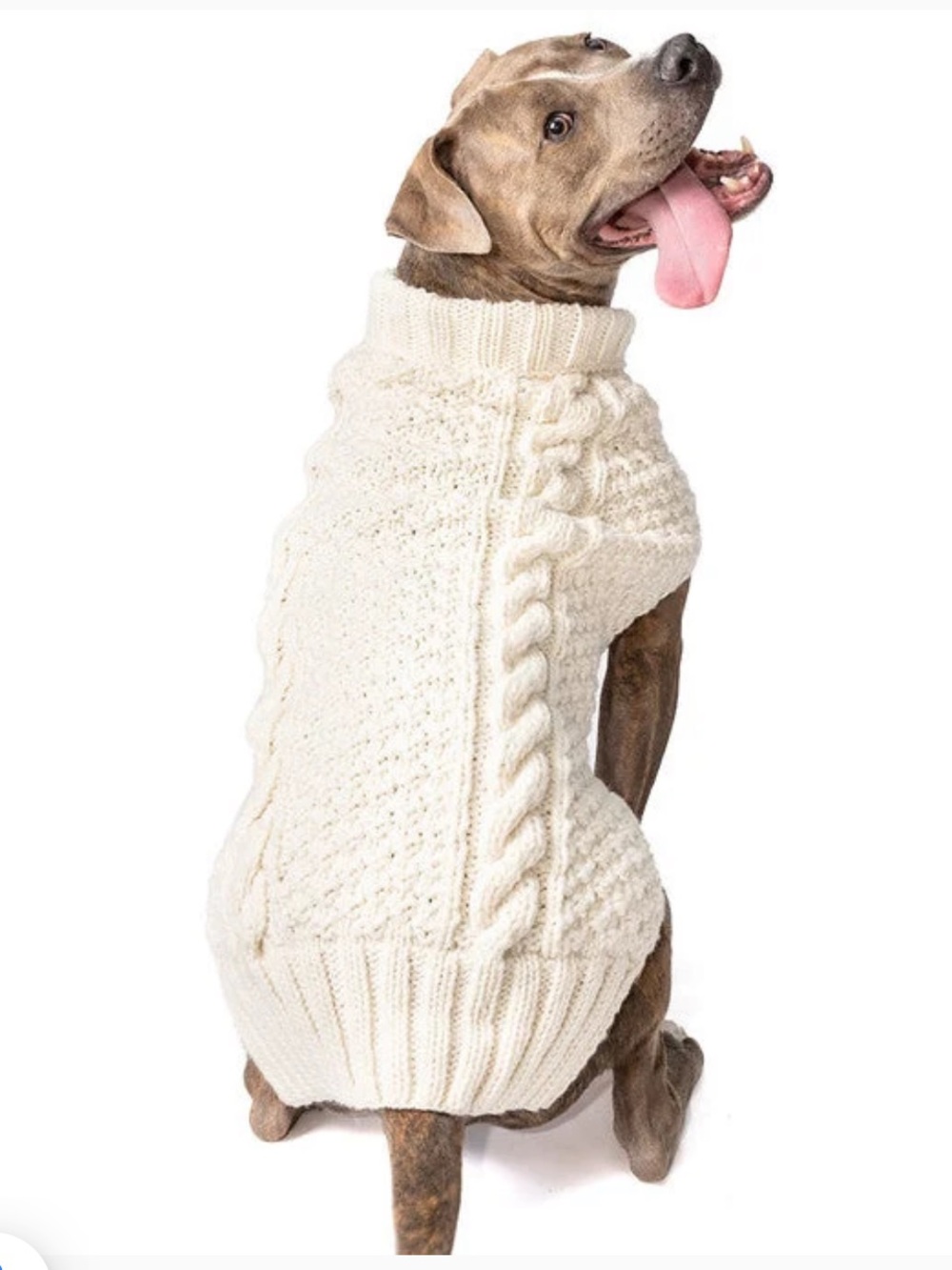 Cozy Cable Knit Dog Sweater - Cream